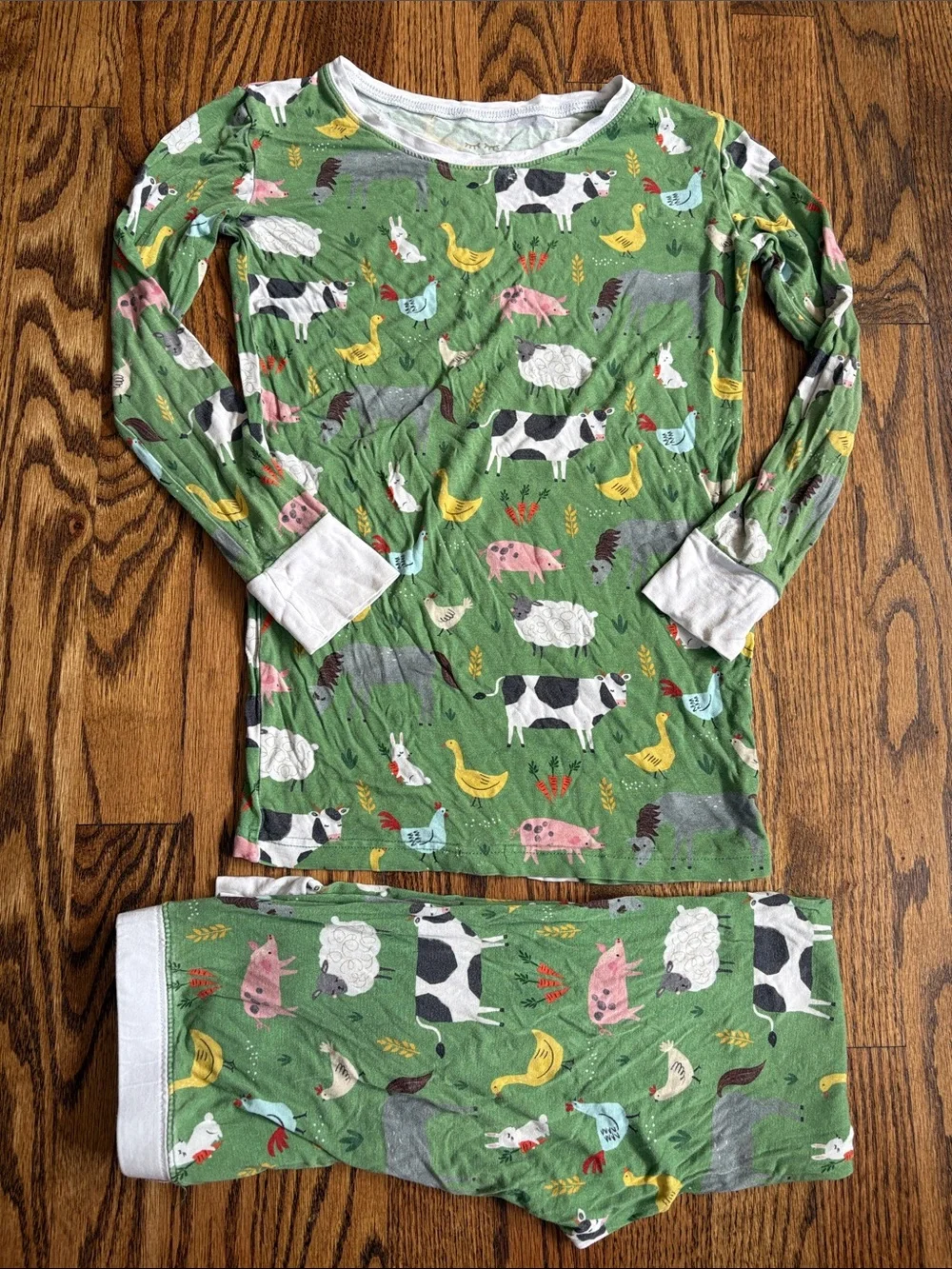 Little Sleepies green bamboo Farm Animals print, 2 piece pajama set. Size 9/10